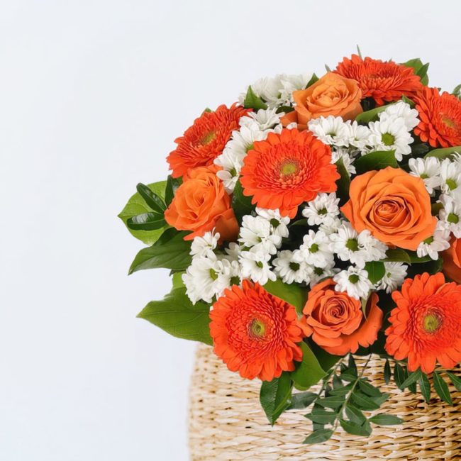 Douceur d'automne – Image 4